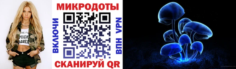 Купить где  Волжский  Галлюциногенные грибы Psilocybine cubensis 